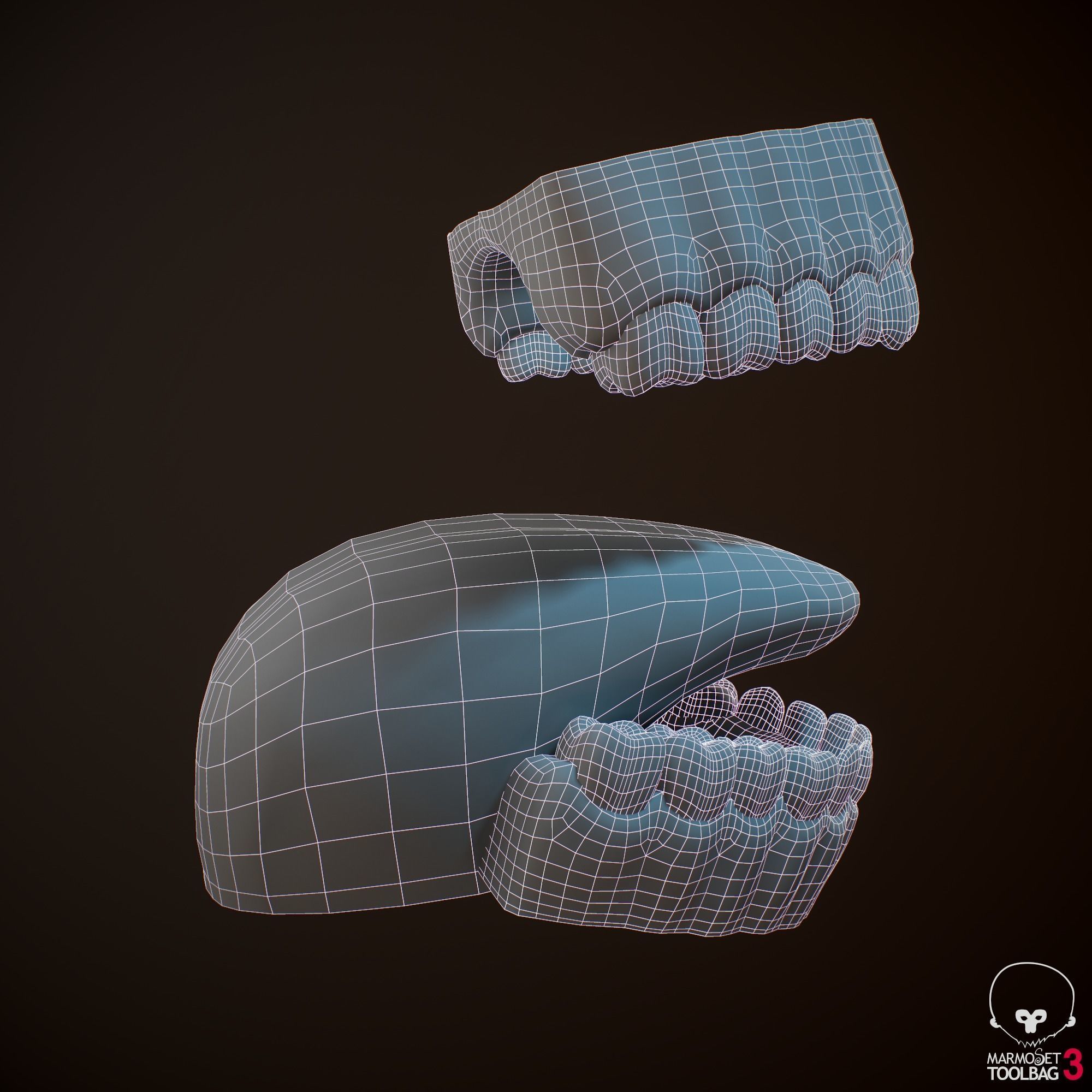 Teeth and Tongue PBR Low-poly 3D model_28
