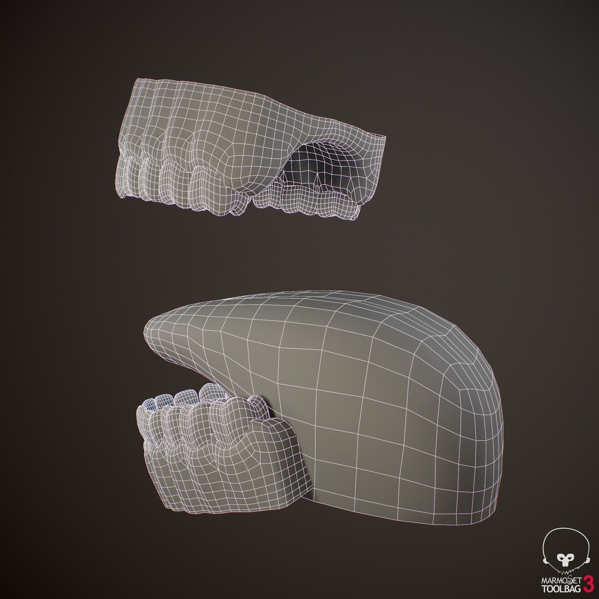 Teeth and Tongue PBR Low-poly 3D model_24