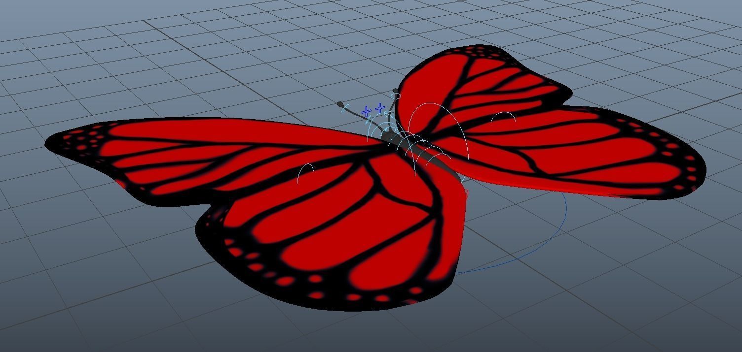 Cartoon Butterfly - Rigged Low-poly 3D model_4
