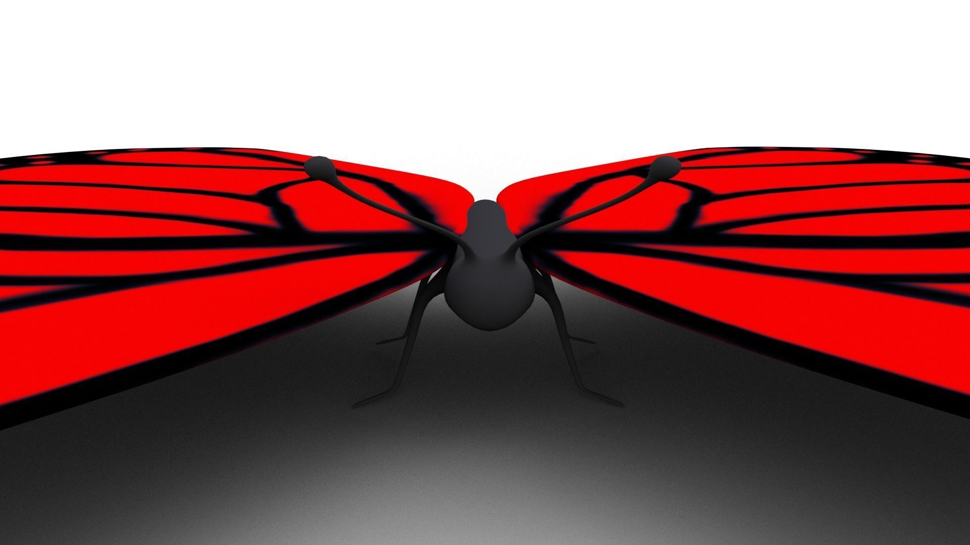 Cartoon Butterfly - Rigged Low-poly 3D model_2