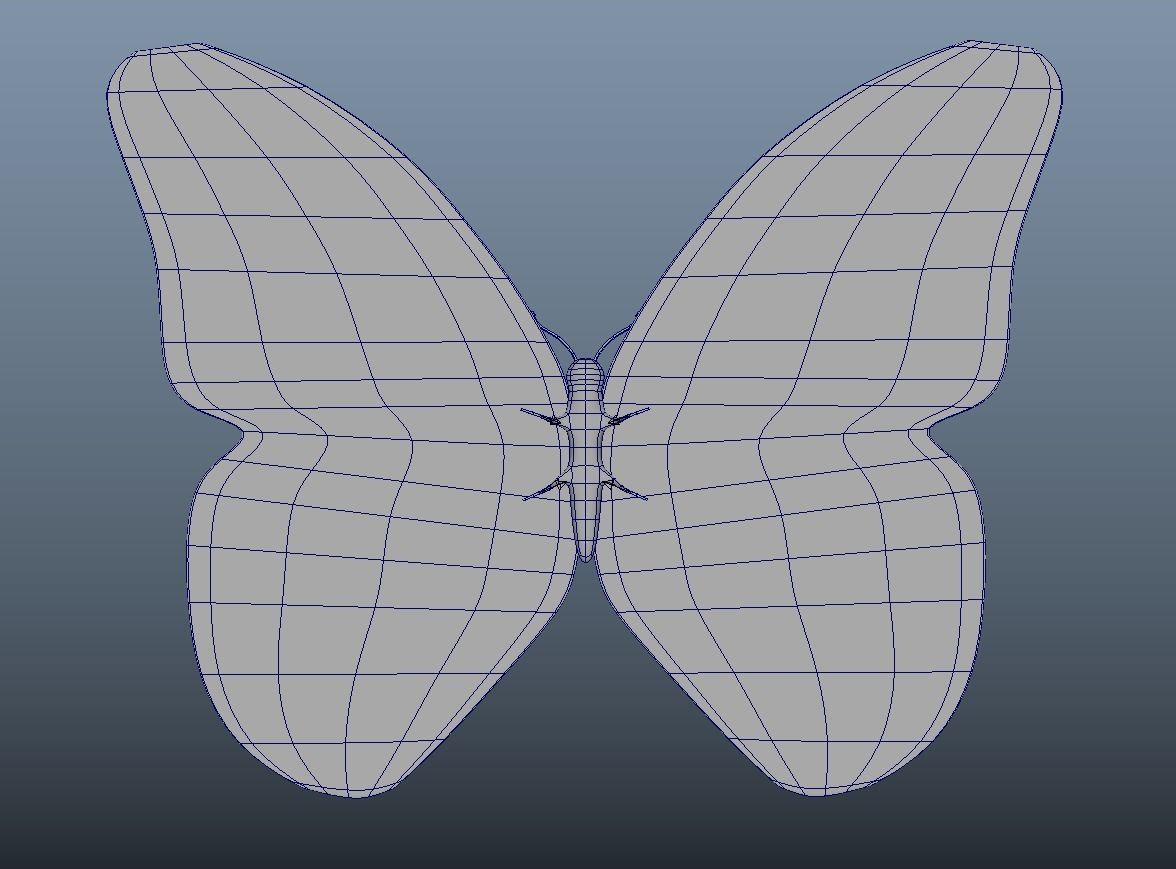 Cartoon Butterfly - Rigged Low-poly 3D model_7