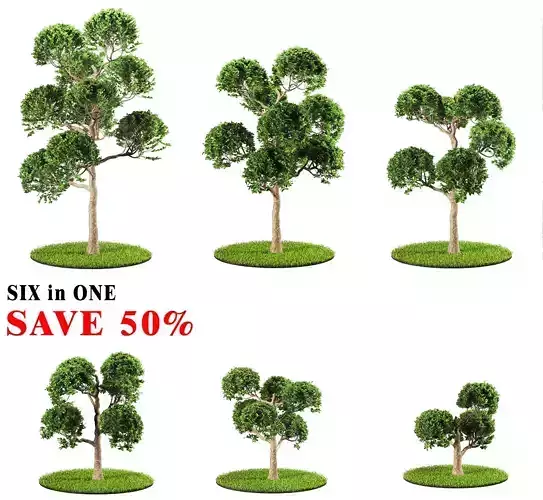tree 119 Six in One 3D model
