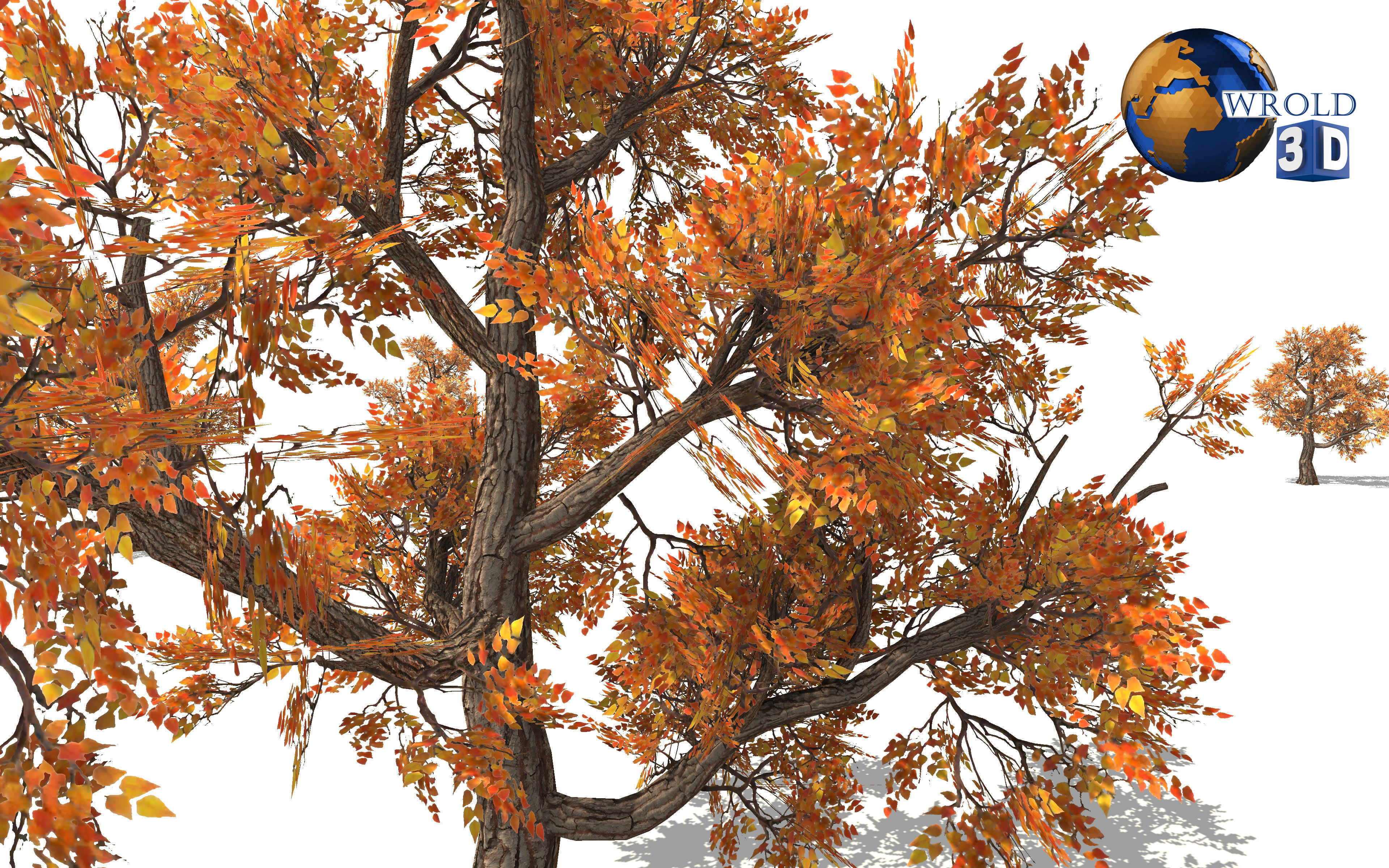 Colorful Tree Collection Pack Lowpoly 3D Model _22