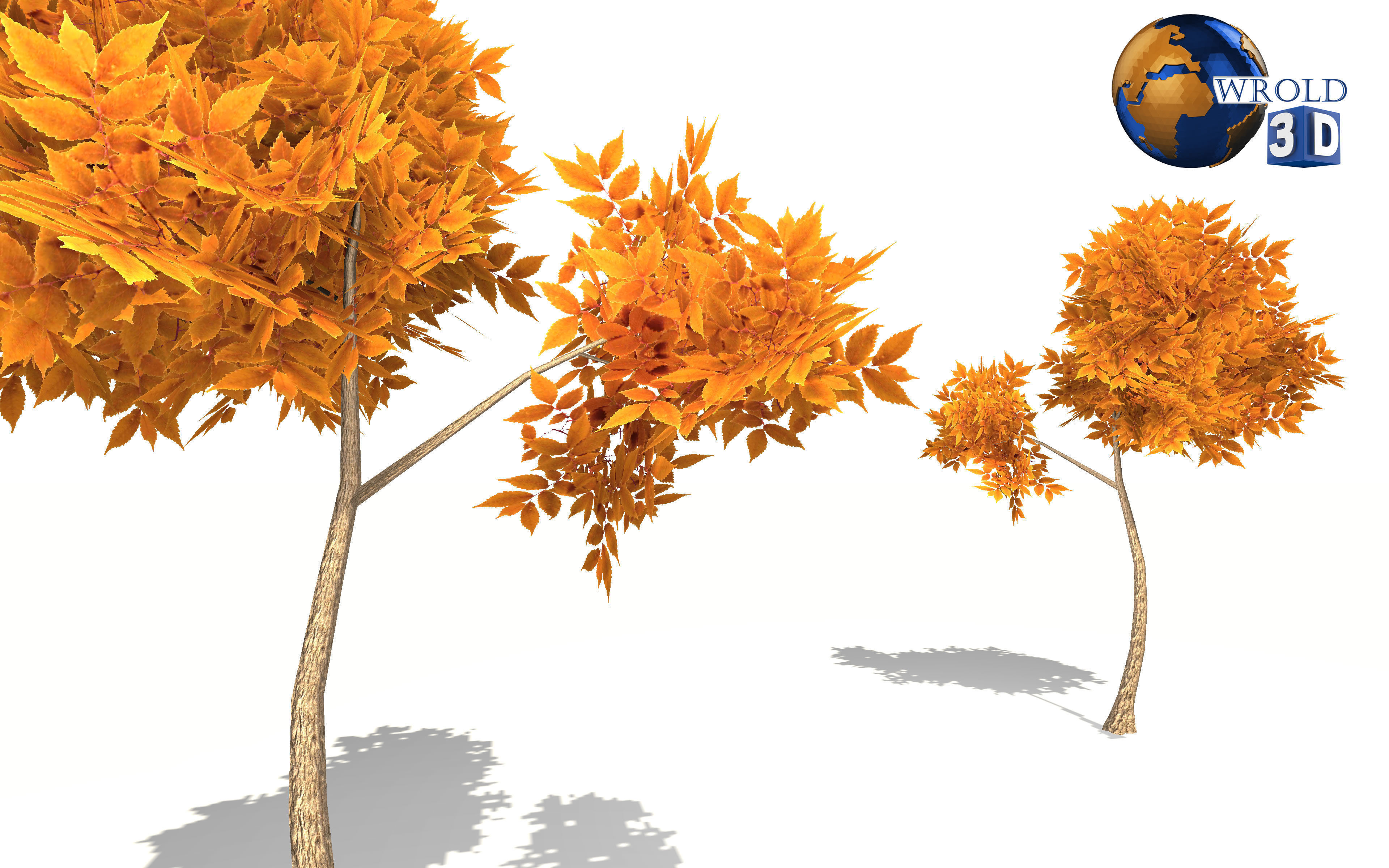 Colorful Tree Collection Pack Lowpoly 3D Model _14