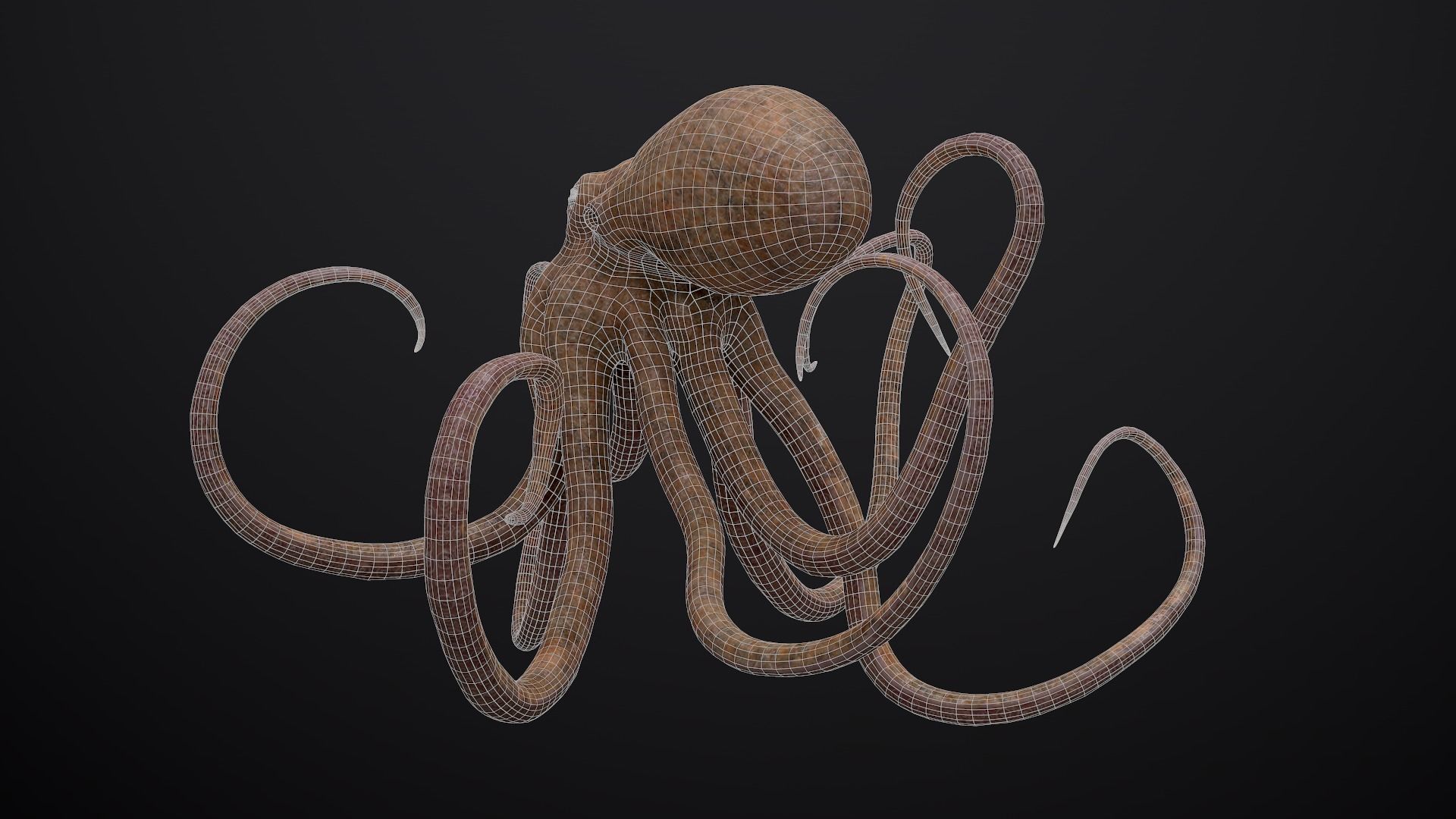 Octopus Game Ready Low-poly 3D model_10