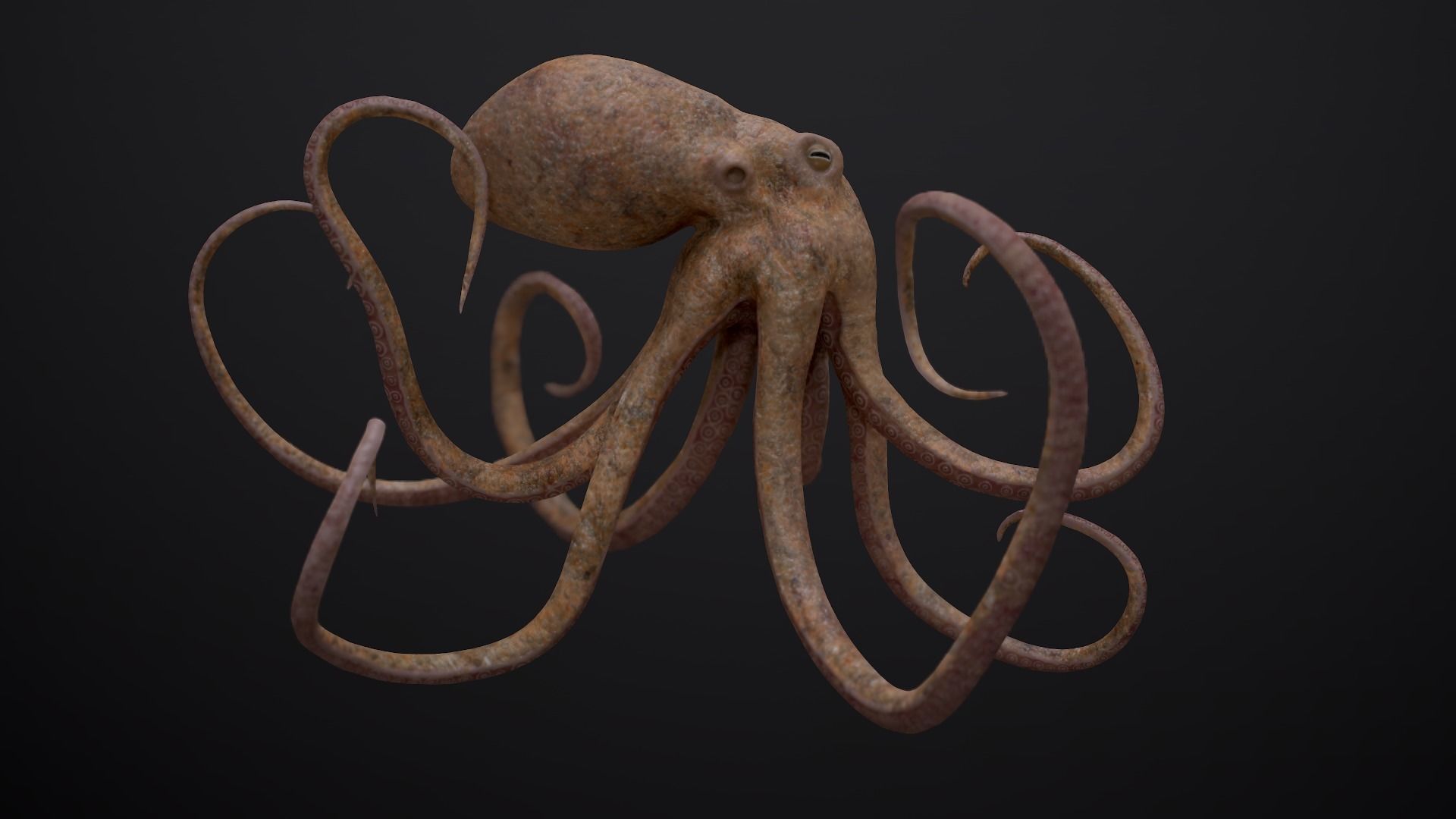 Octopus Game Ready Low-poly 3D model_2
