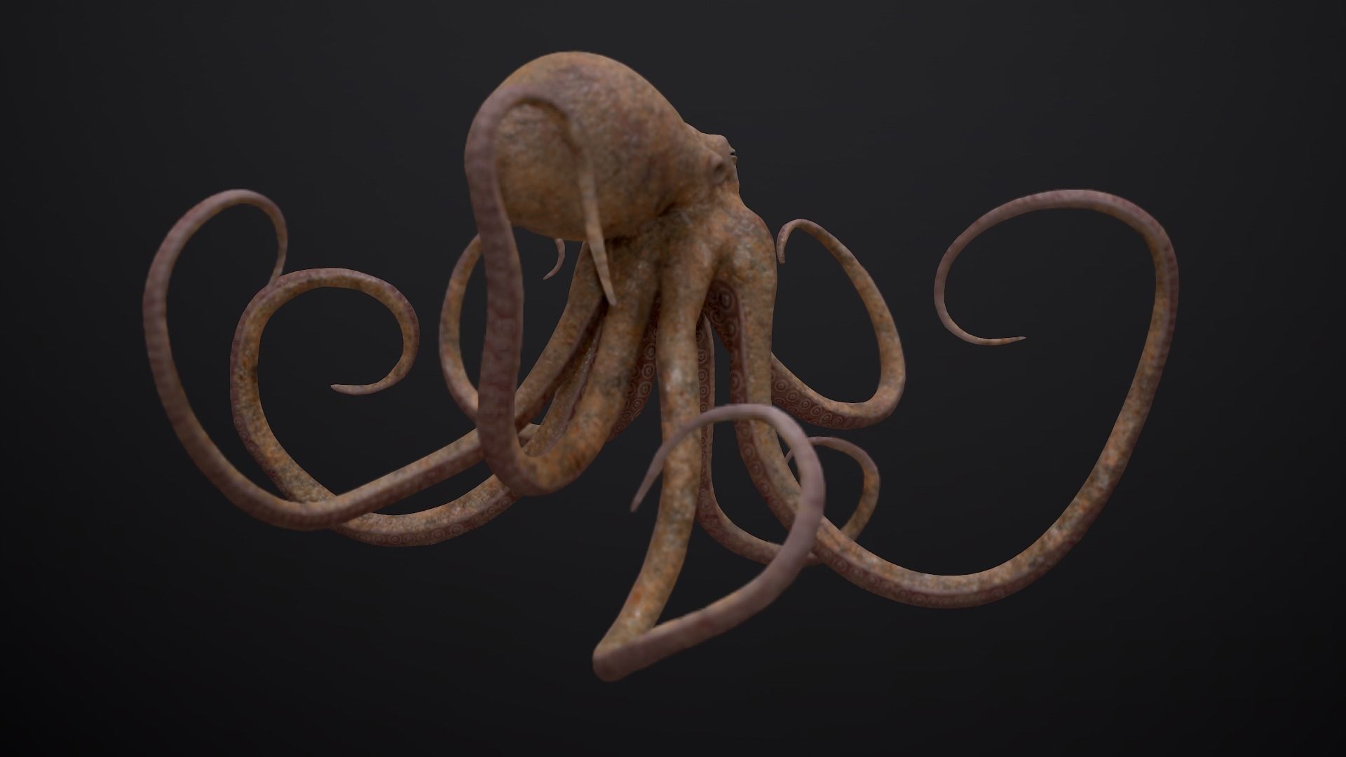 Octopus Game Ready Low-poly 3D model_3