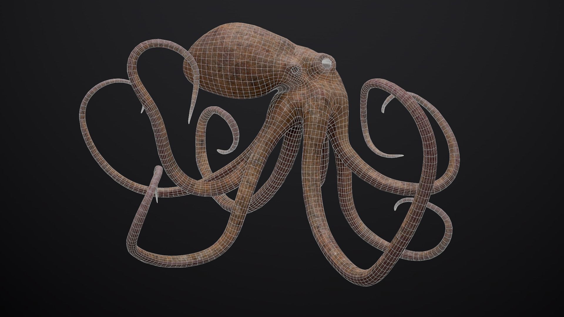 Octopus Game Ready Low-poly 3D model_9