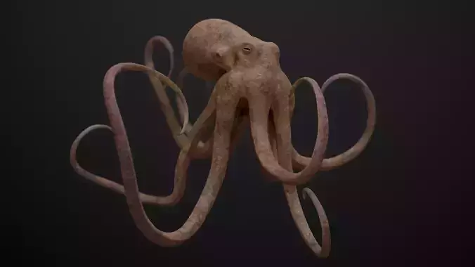 Octopus Game Ready Low-poly 3D model