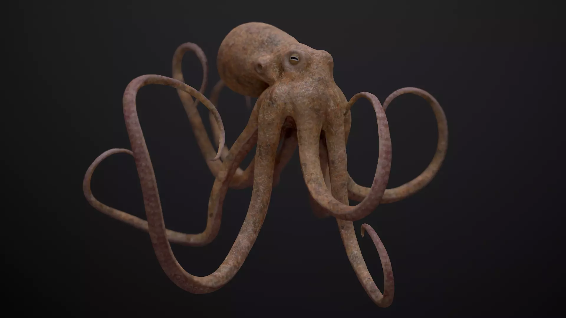 Octopus Game Ready Low-poly 3D model_0