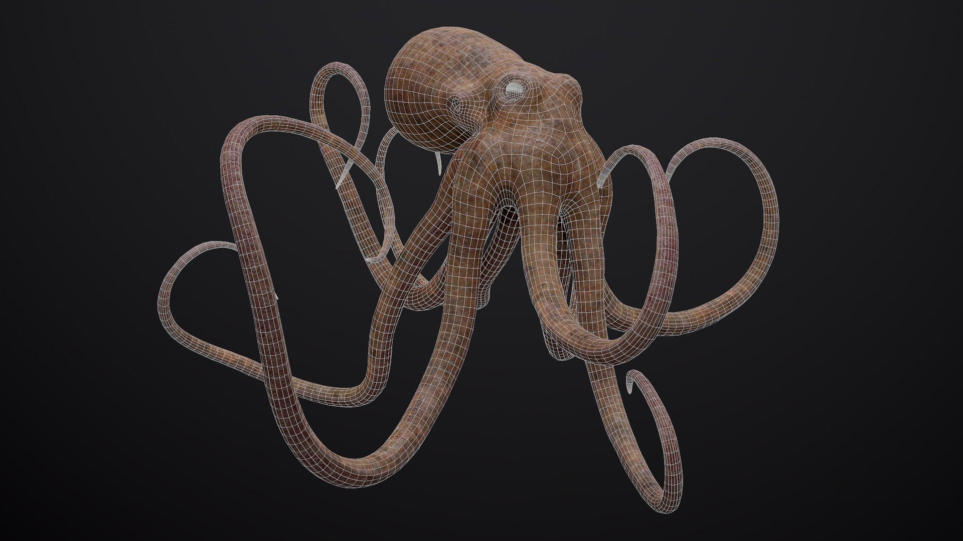Octopus Game Ready Low-poly 3D model_8