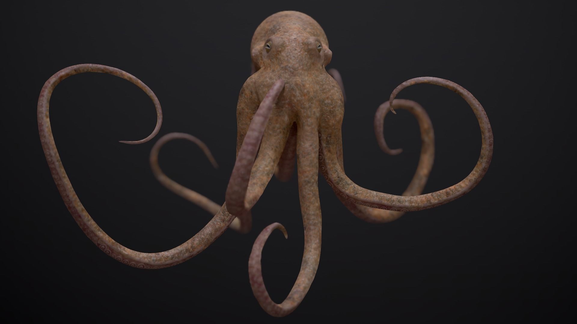 Octopus Game Ready Low-poly 3D model_7