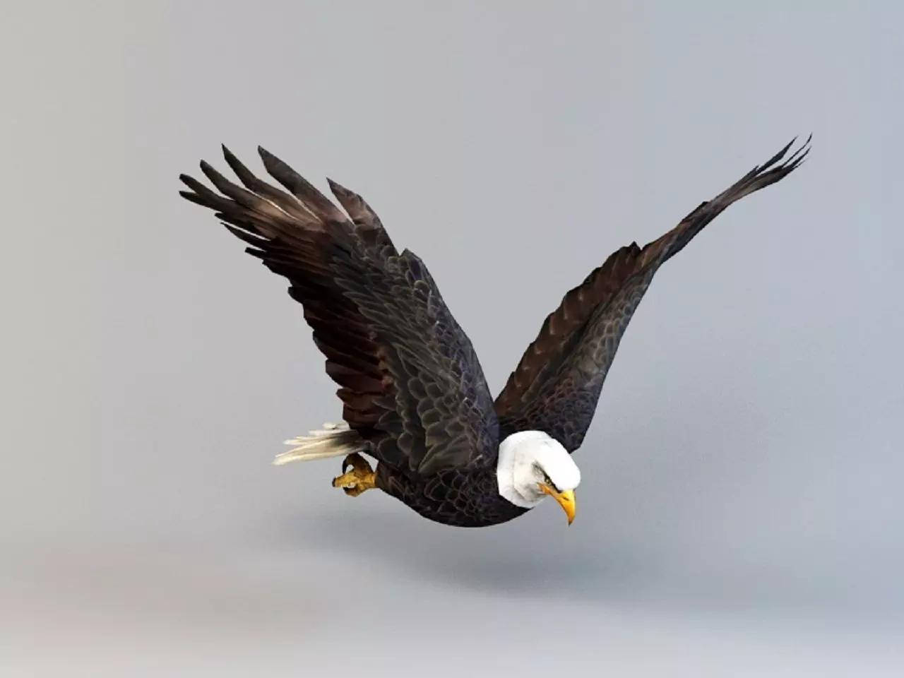 Eagle Flapping Animation Low-poly 3D model
