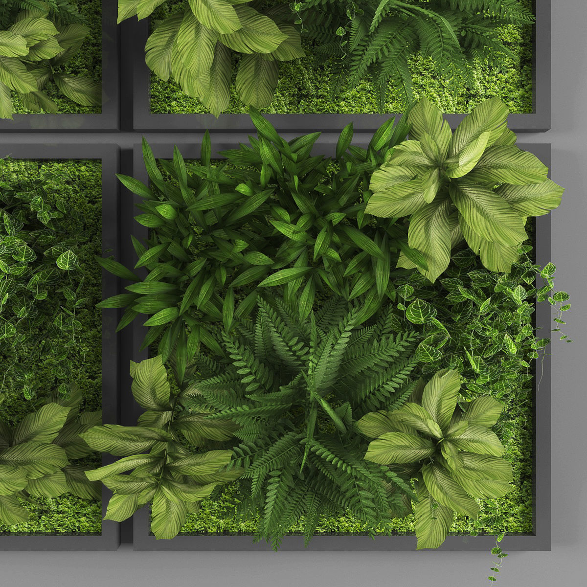 Vertical garden 04 Low-poly 3D model_2