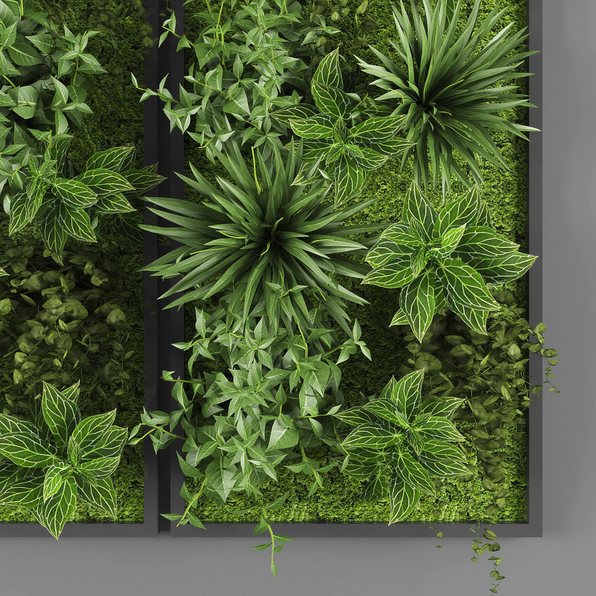 Vertical garden 05 Low-poly 3D model_2