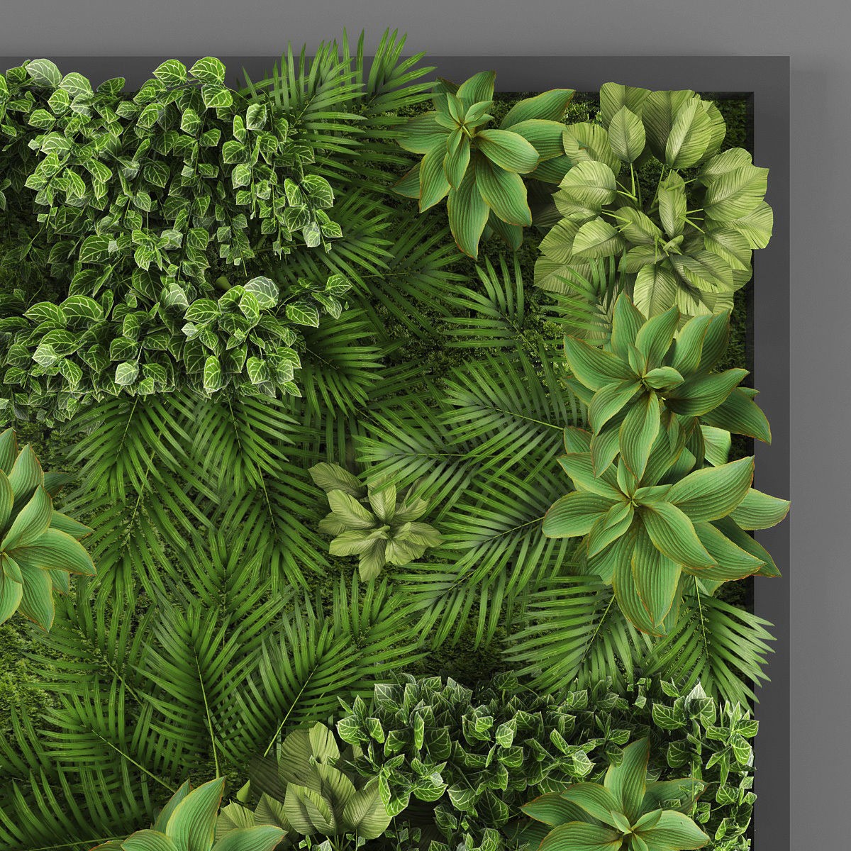 Vertical garden 06 Low-poly 3D model_2