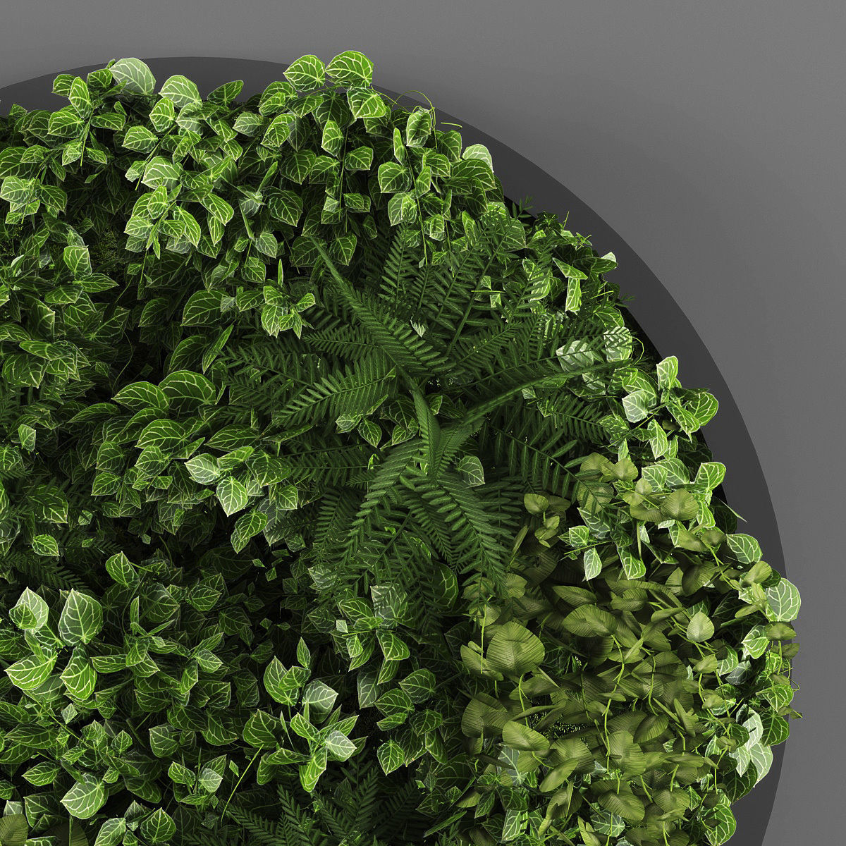 Vertical garden 07 Low-poly 3D model_2