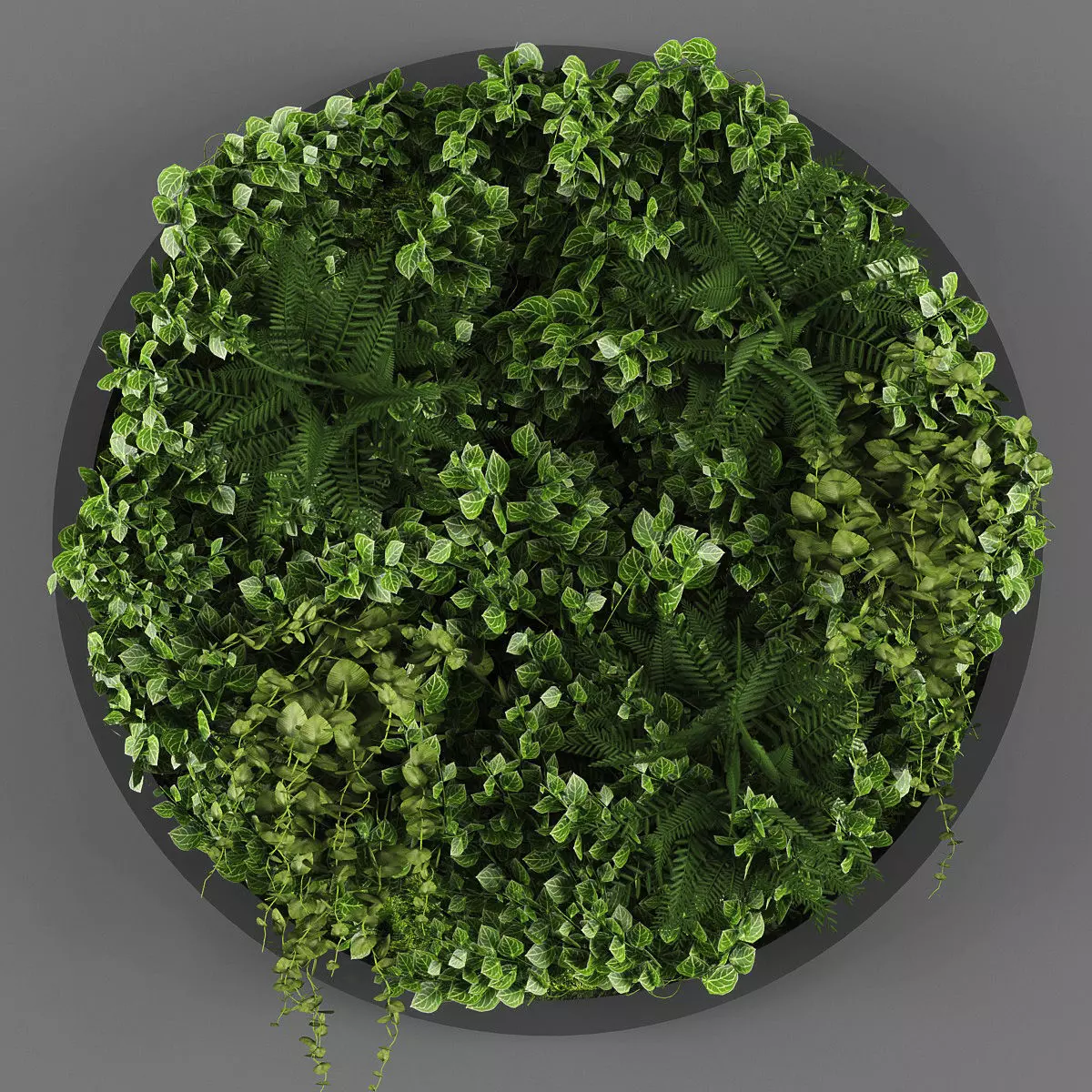 Vertical garden 07 Low-poly 3D model_0