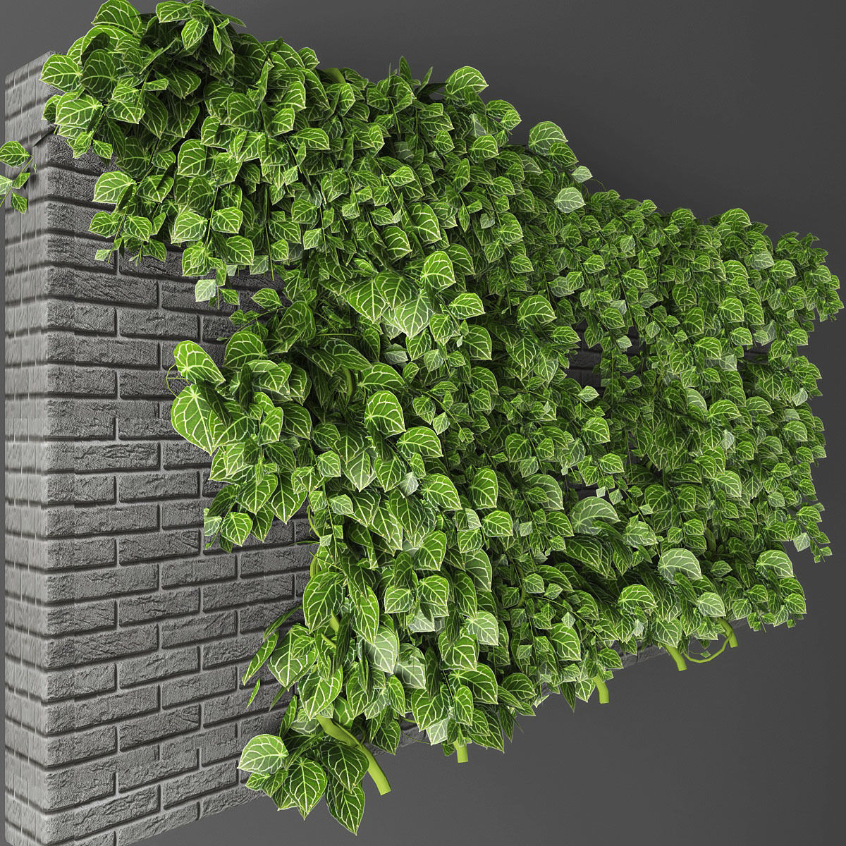 Vertical garden 10 Low-poly 3D model_2