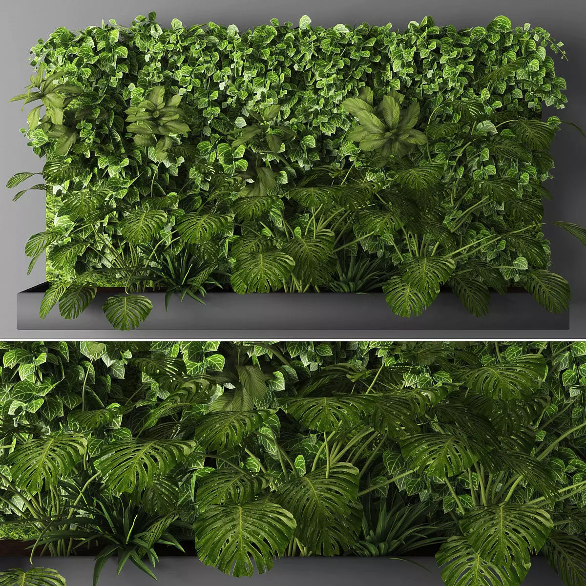 Vertical garden 11 Low-poly 3D model_0
