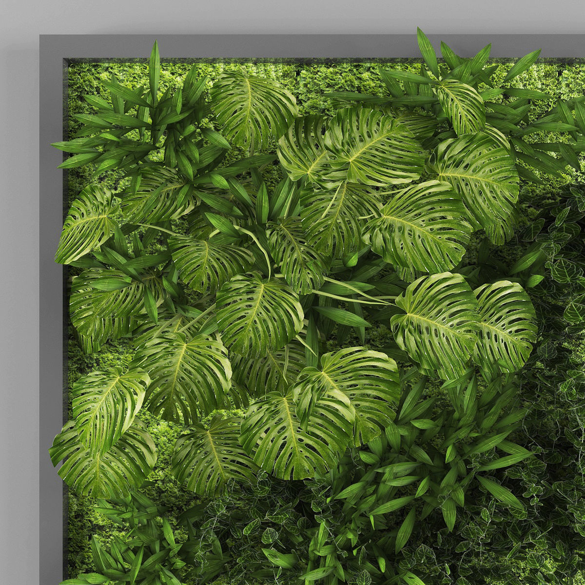 Vertical garden 12 Low-poly 3D model_2