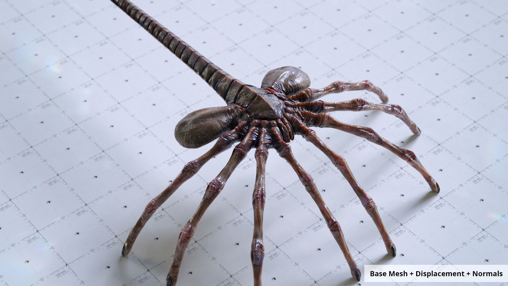 Alien Facehugger - 3D Asset Kit PBR Low-poly 3D model_5