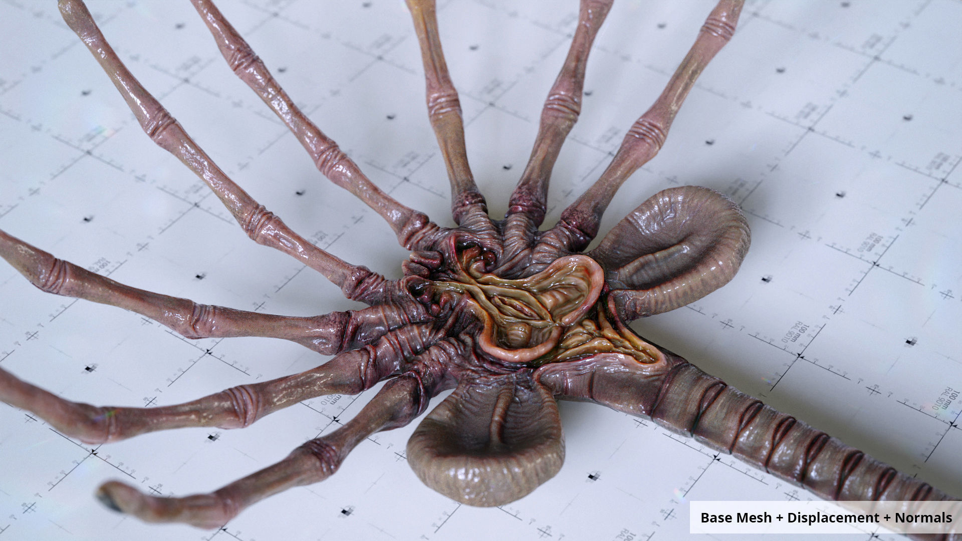 Alien Facehugger - 3D Asset Kit PBR Low-poly 3D model_8