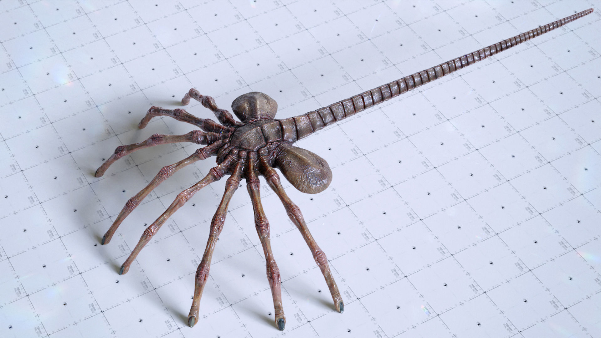 Alien Facehugger - 3D Asset Kit PBR Low-poly 3D model_3