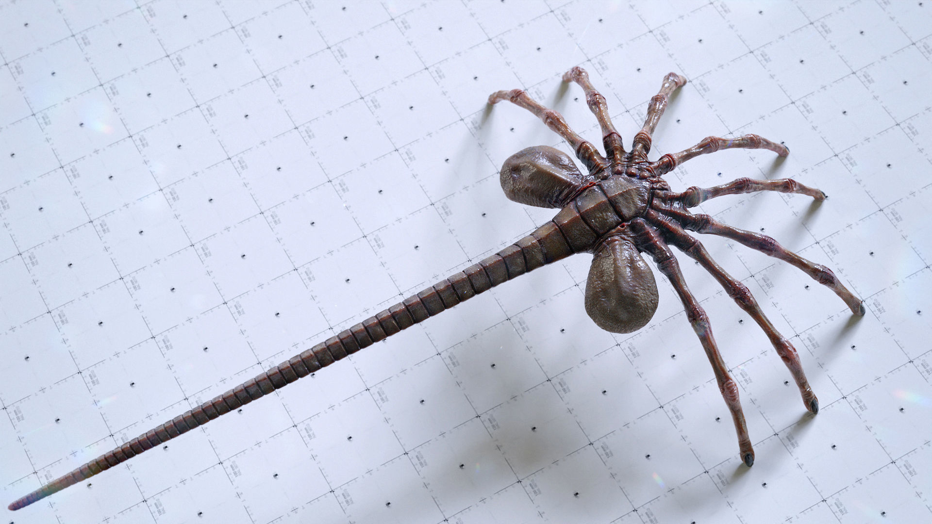 Alien Facehugger - 3D Asset Kit PBR Low-poly 3D model_13