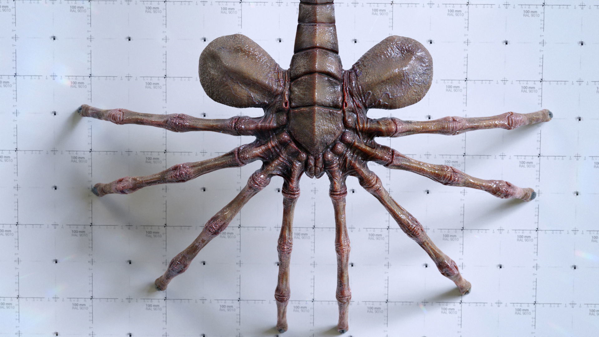 Alien Facehugger - 3D Asset Kit PBR Low-poly 3D model_4