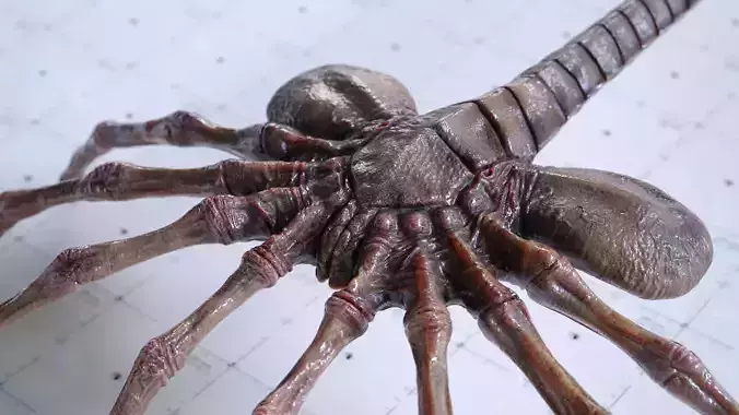 Alien Facehugger - 3D Asset Kit PBR Low-poly 3D model