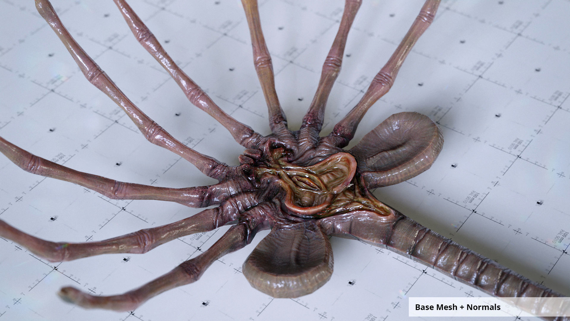 Alien Facehugger - 3D Asset Kit PBR Low-poly 3D model_9