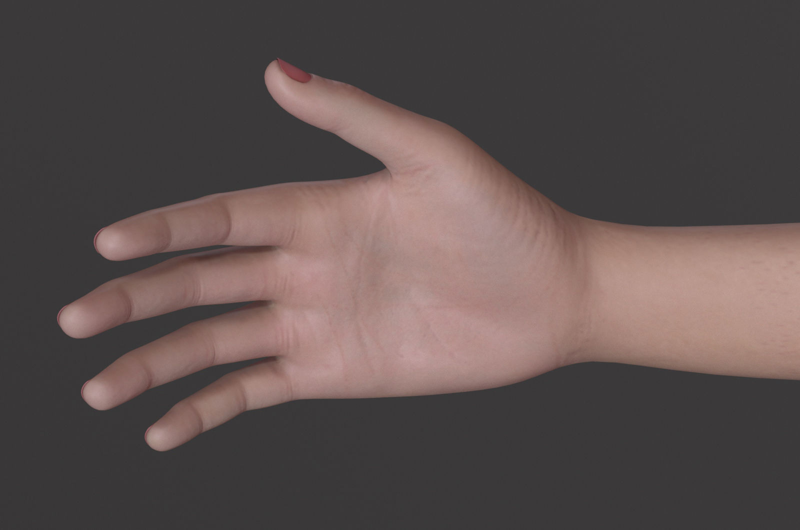 Female Base Maya 2018 Rig 3D model_12