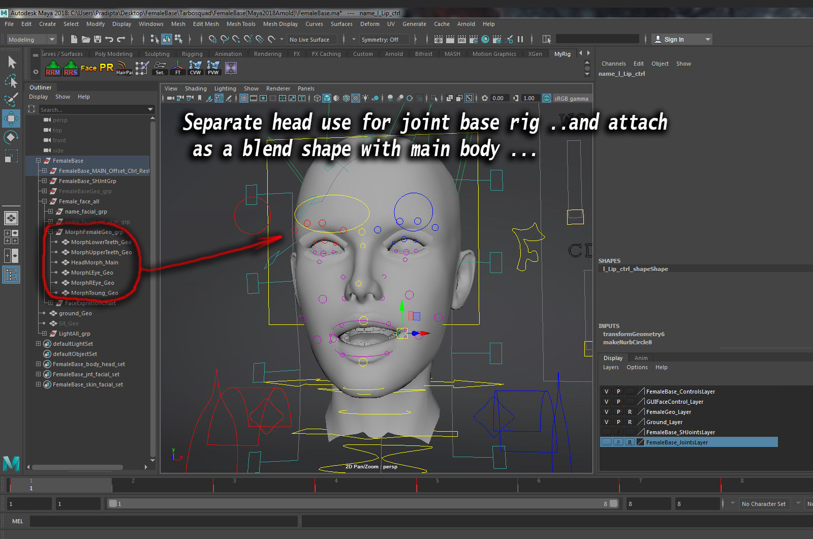 Female Base Maya 2018 Rig 3D model_36