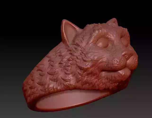 Ring the head of a cat