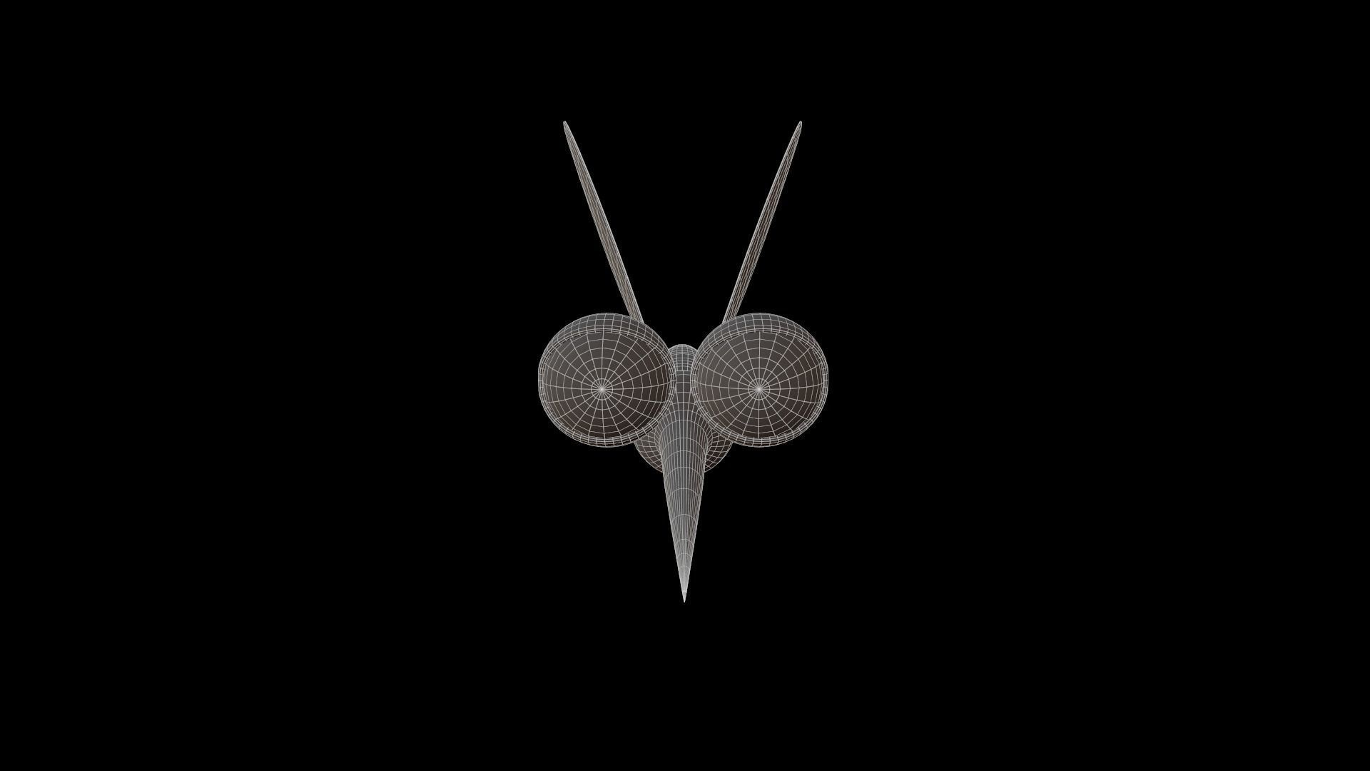 Asset - Cartoons - Animal - Insect - Mosquito - Rig 3D model_8