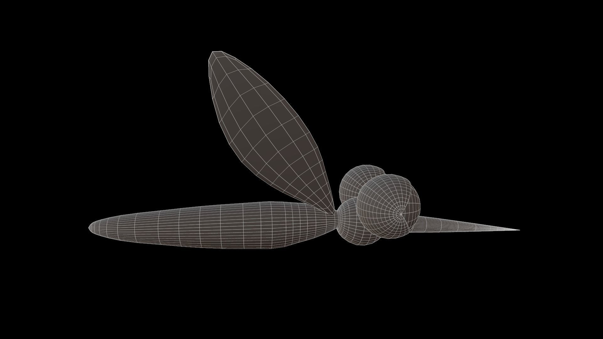 Asset - Cartoons - Animal - Insect - Mosquito - Rig 3D model_9