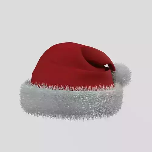 Santa Claus Hat