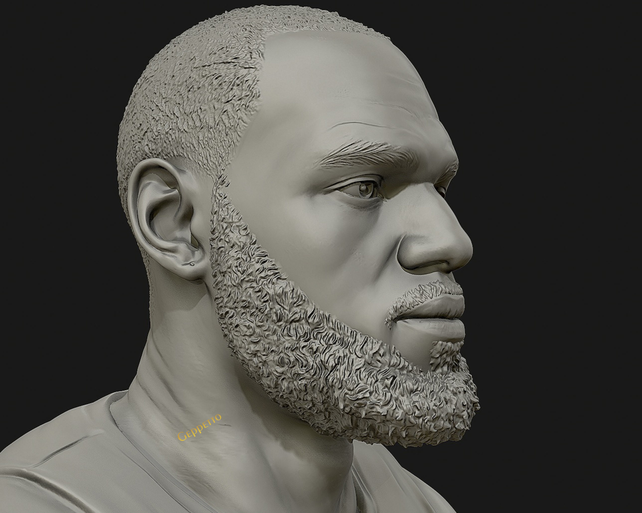 Lebron James in Lakers jersey Ready to 3D print 3D print model_4