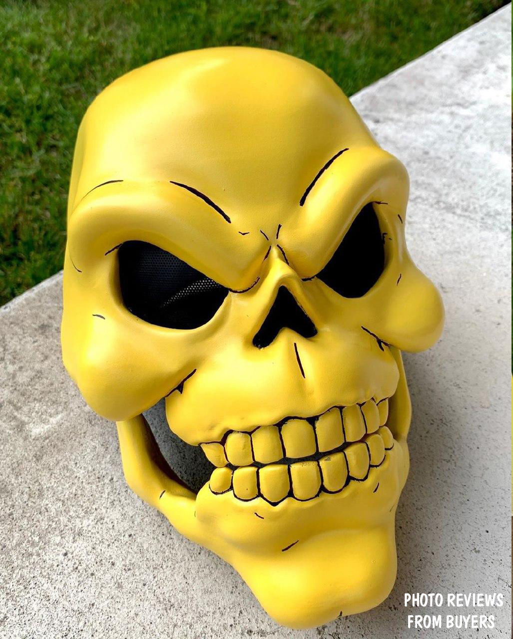 Skeletor Mask 1980 He-Man Masters Of The Universe 3D print model_1