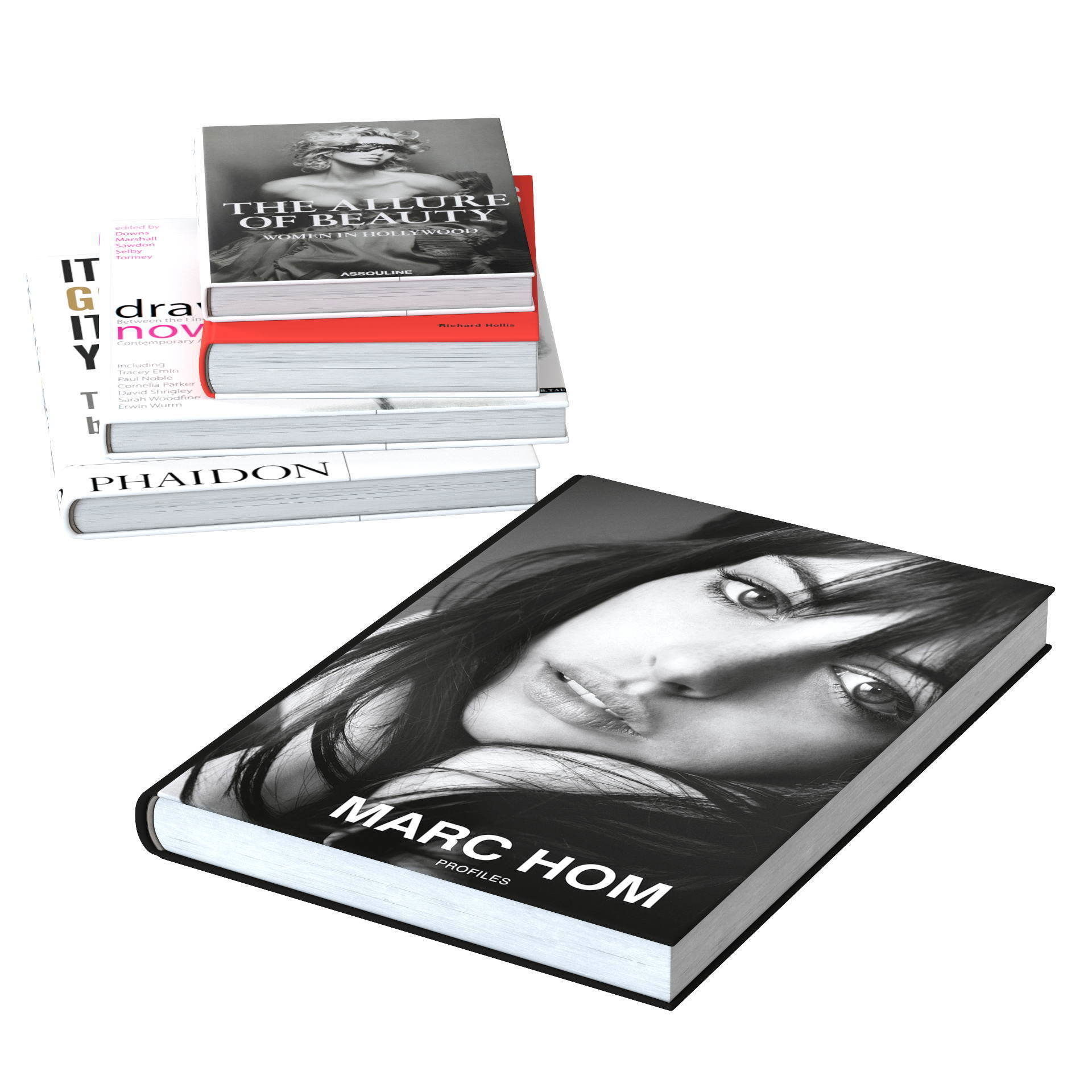 Skating Dog and the BoConcept decor set 3D model_4