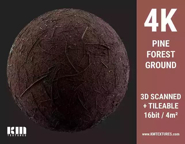 3D Scanned 4K Pine Forest Ground Texture
