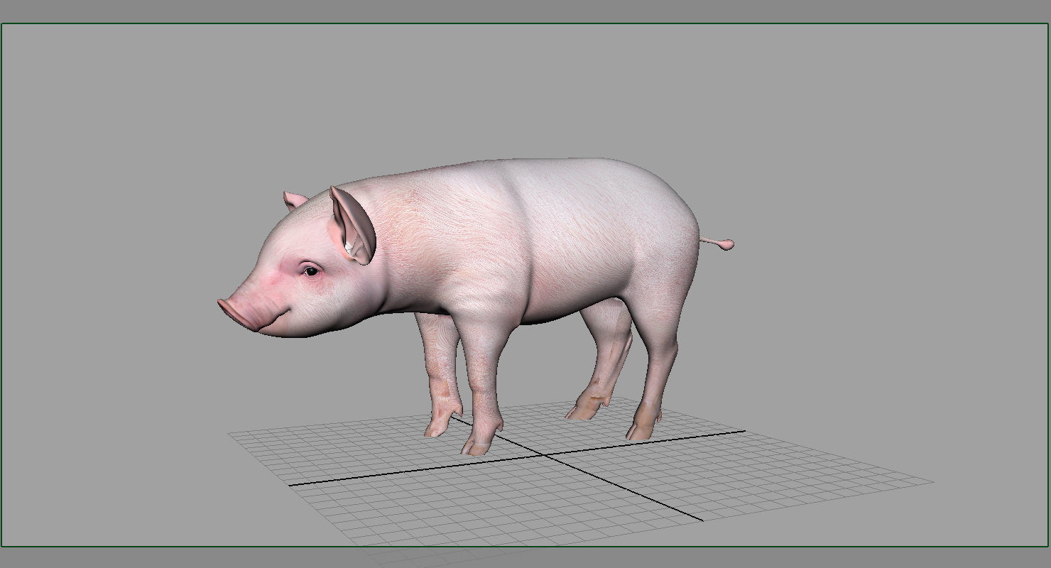 cute pig 3d model 3D model_7