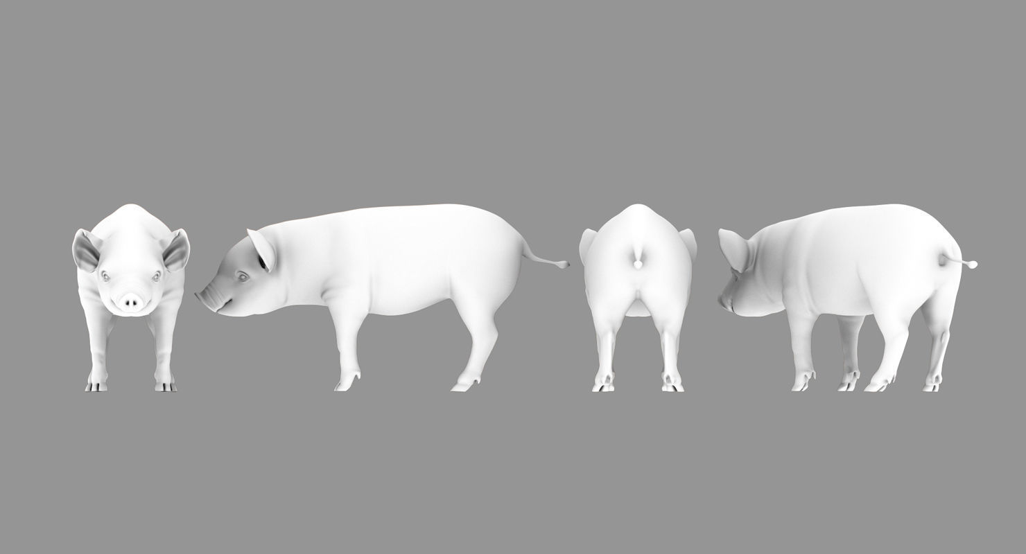 cute pig 3d model 3D model_2