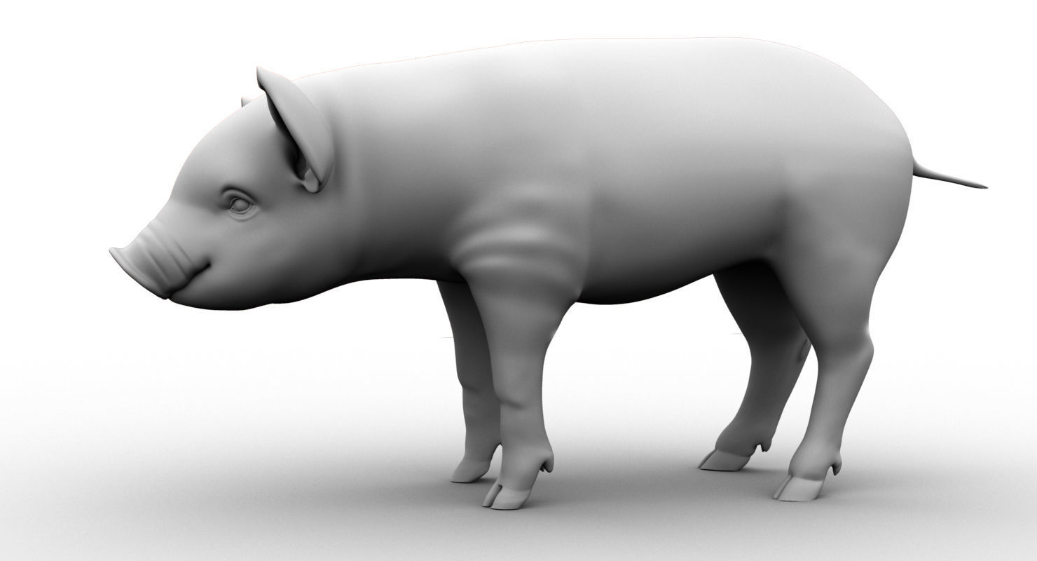 cute pig 3d model 3D model_5