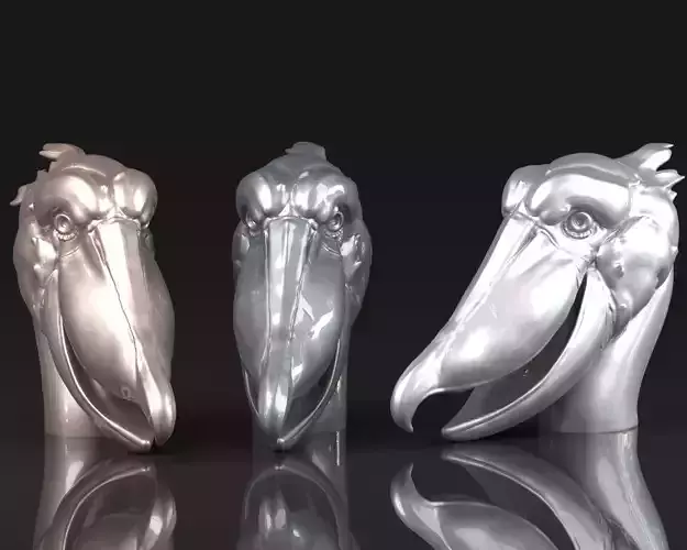 Shoebill pair of pelican heads