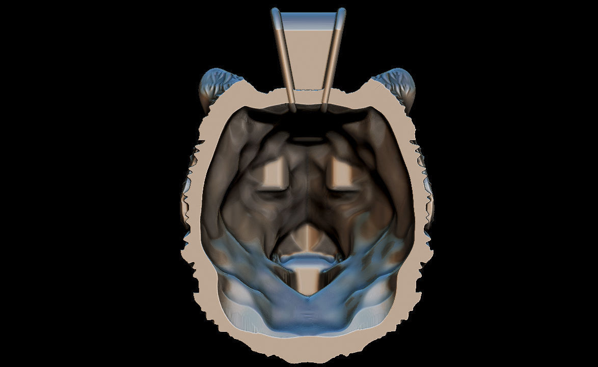 TIger pendant 3D print model_6