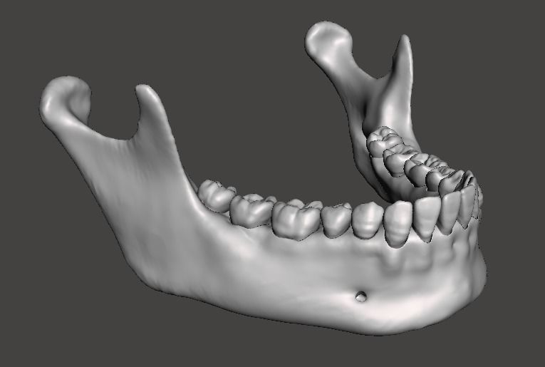 D012 Maxillary and Mandibular dental models anatomical teeth 3D print model_4