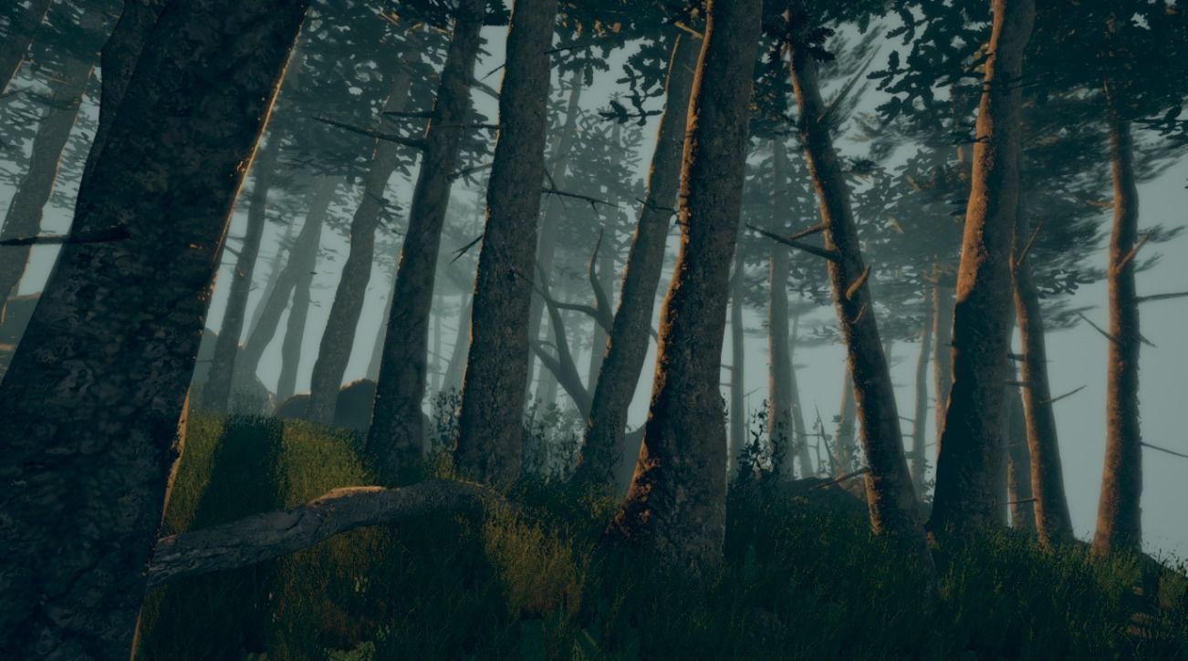 Realistic Forest Pack Low-poly 3D model_2