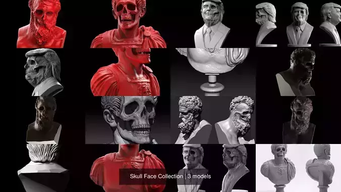 Skull Face Collection 